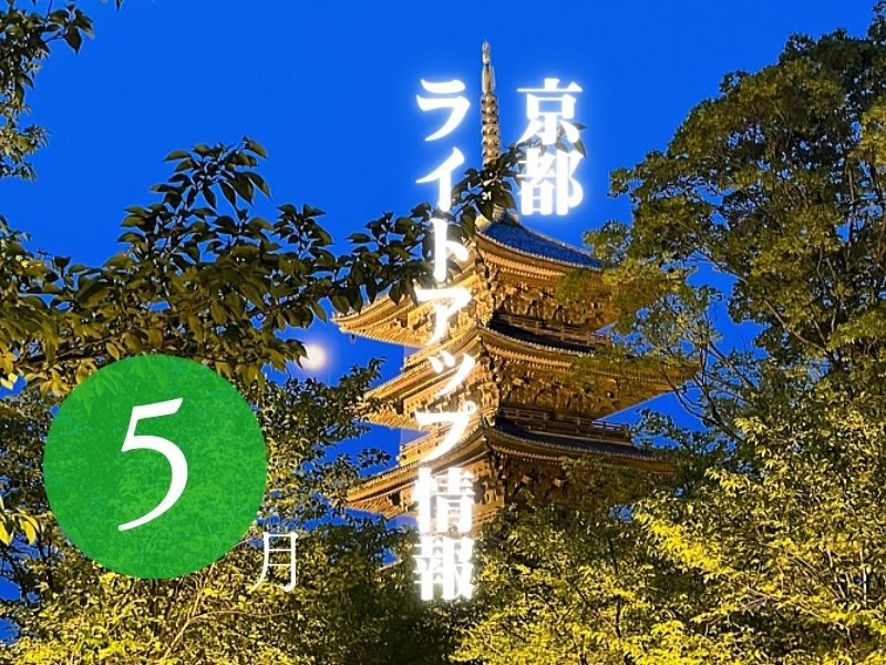 京都 ライトアップ 5月 / 京都観光旅行ガイド