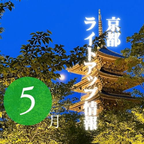 京都 ライトアップ 5月 / 京都観光旅行ガイド