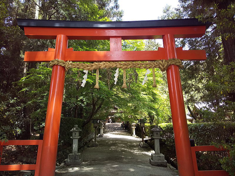 大田神社の鳥居&参道 / 京都観光旅行ガイド