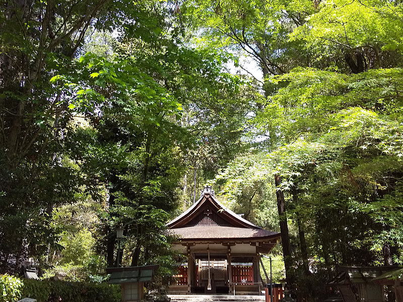 大田神社の本殿 / 京都観光旅行ガイド