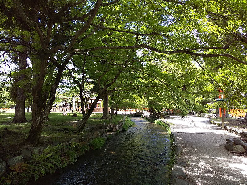 上賀茂神社 ならの小川 2025 / 京都観光旅行ガイド