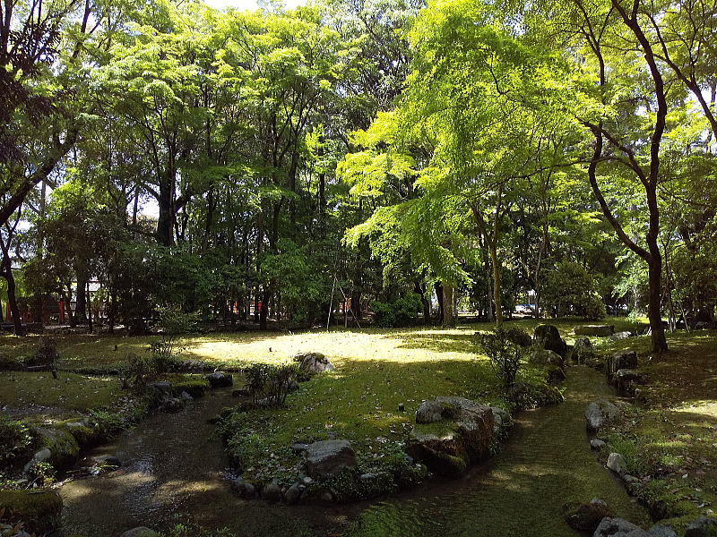 上賀茂神社 青もみじ 2025 / 京都観光旅行ガイド