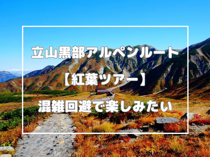 立山黒部アルペンルート 紅葉ツアー