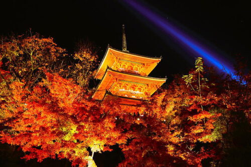 清水寺 紅葉ライトアップ / 京都観光旅行ガイド