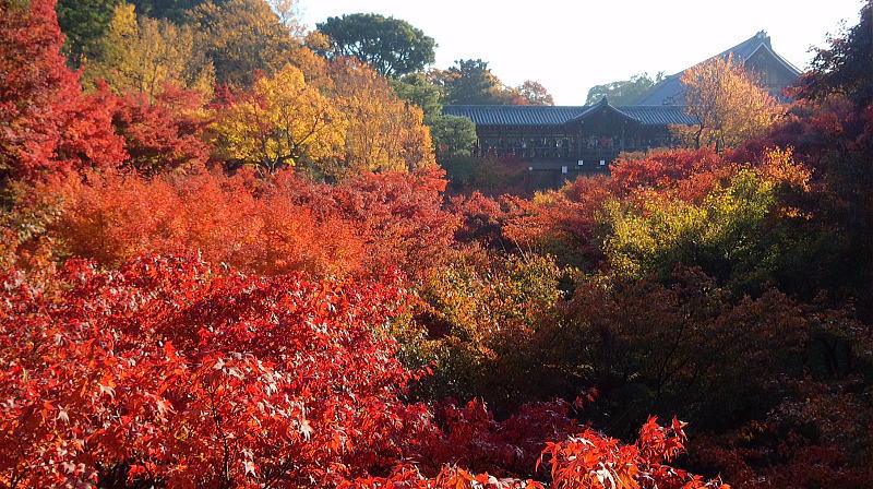 東福寺の通天橋