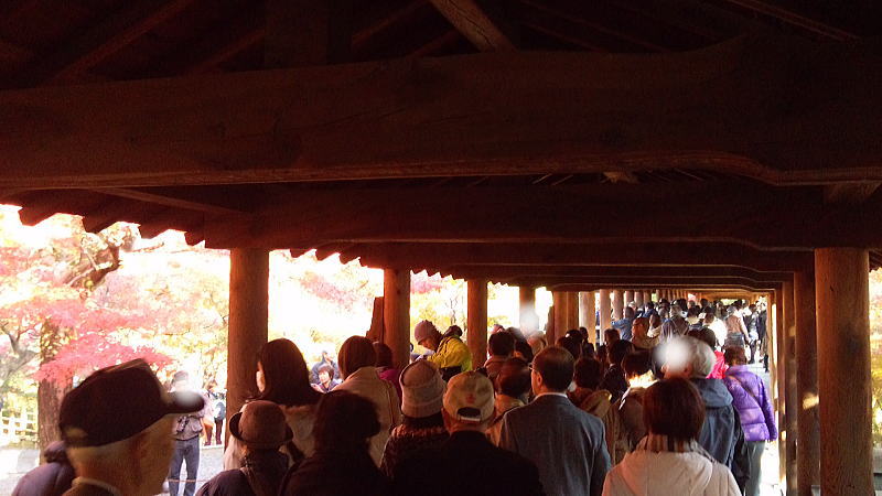 東福寺の通天橋