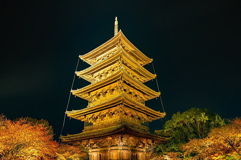 東寺 五重塔の紅葉ライトアップ