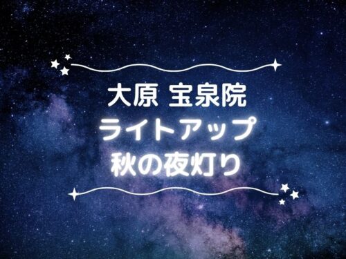 宝泉院ライトアップ＆夜間拝観 / 京都観光旅行ガイド