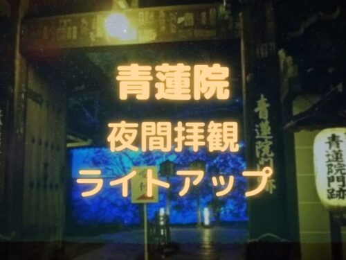 青蓮院 ライトアップ 夜間拝観 / 京都観光旅行ガイド