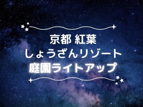 しょうざん 庭園ライトアップ / 京都観光旅行ガイド