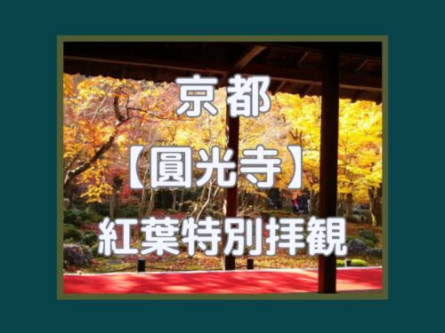 圓光寺 紅葉予約拝観 / 京都観光旅行ガイド