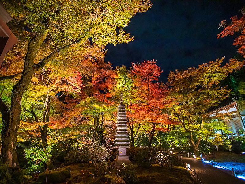 宝厳院 ライトアップ・夜間特別拝観 / 京都観光旅行ガイド