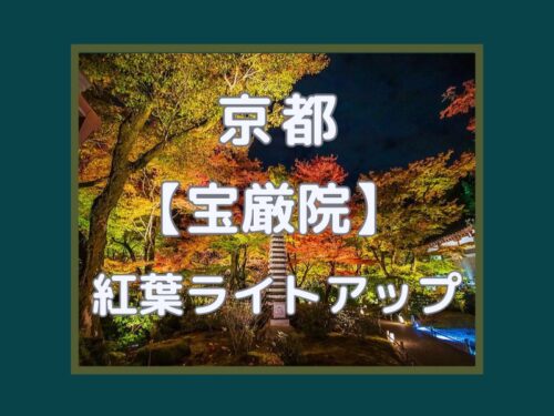宝厳院 ライトアップ・夜間特別拝観 / 京都観光旅行ガイド