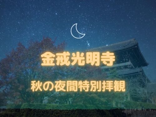 金戒光明寺 秋の夜間拝観 / 京都観光旅行ガイド