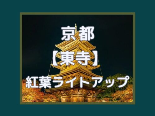 東寺 紅葉ライトアップと金堂・講堂夜間特別拝観
