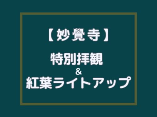 妙覺寺 特別拝観と紅葉ライトアップ / 京都観光旅行ガイド