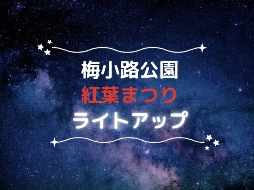 梅小路公園紅葉まつりライトアップ / 京都観光旅行ガイド