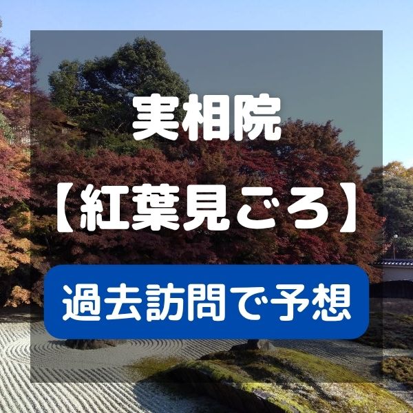 実相院 紅葉の見ごろ予想 / 京都観光旅行ガイド