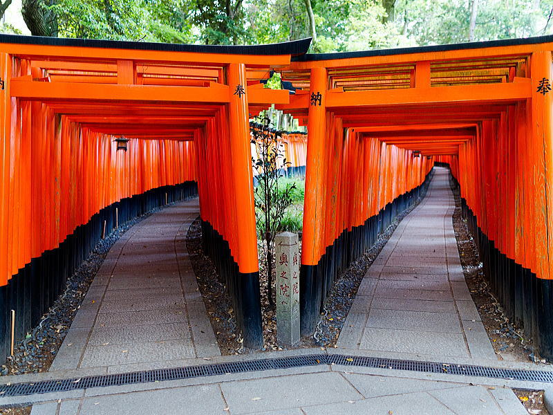 伏見稲荷大社 千本鳥居 / 京都観光旅行ガイド