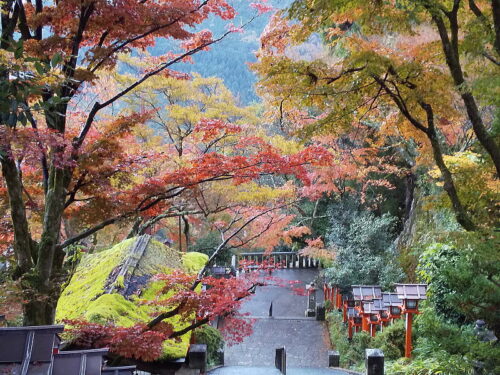 鞍馬寺 紅葉 2025 / 京都観光旅行ガイド