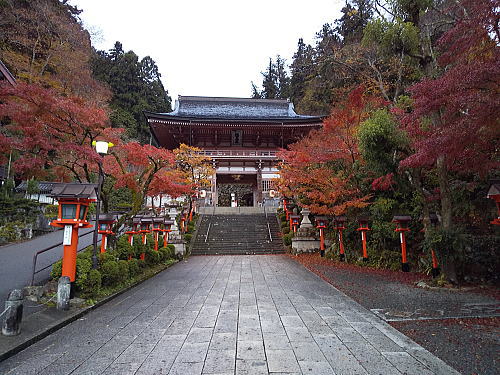 鞍馬寺 紅葉 2025 / 京都観光旅行ガイド