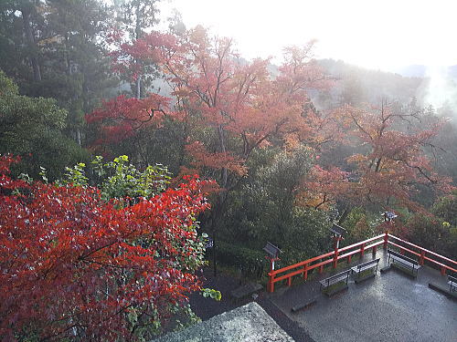 鞍馬寺 紅葉 2025 / 京都観光旅行ガイド