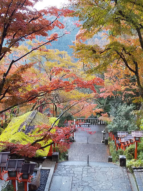 鞍馬寺 紅葉 2025 / 京都観光旅行ガイド
