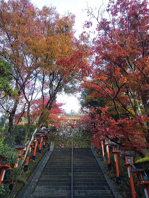 鞍馬寺 紅葉 2025 / 京都観光旅行ガイド