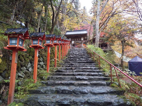 貴船神社 紅葉 2025 / 京都観光旅行ガイド