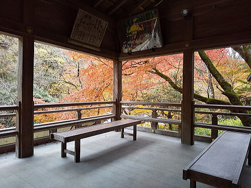 貴船神社 紅葉 2025 / 京都観光旅行ガイド