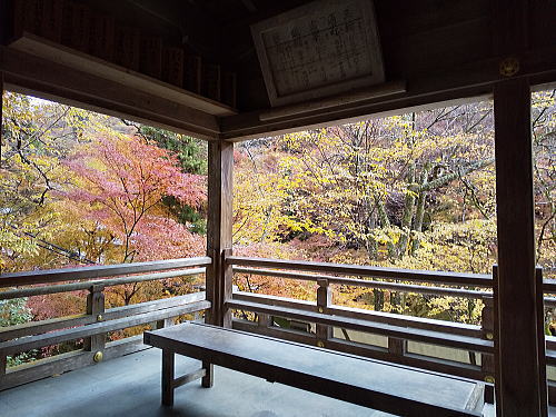 貴船神社 紅葉 2025 / 京都観光旅行ガイド