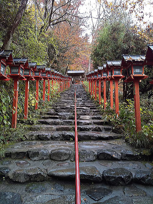 貴船神社 紅葉 2025 / 京都観光旅行ガイド
