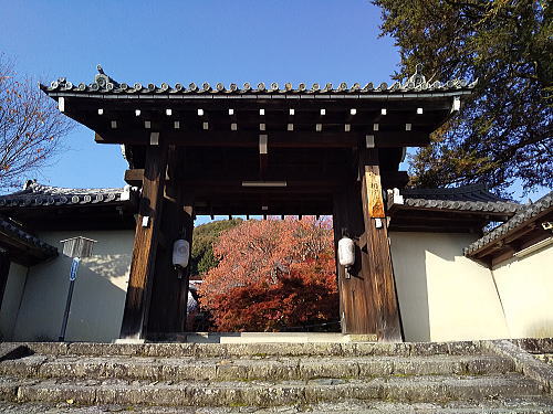 実相院 紅葉 2025 / 京都観光旅行ガイド