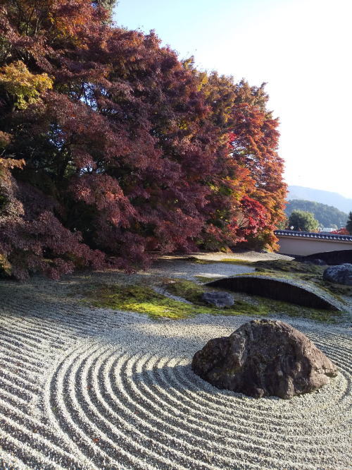 実相院 紅葉 2025 / 京都観光旅行ガイド
