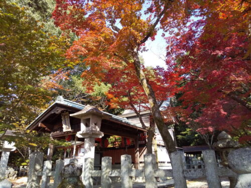 竹中稲荷神社 紅葉 2025 / 京都観光旅行ガイド