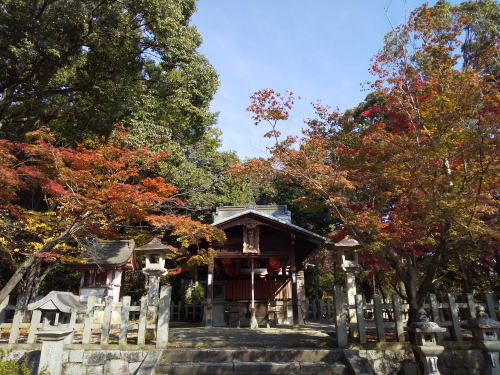 竹中稲荷神社 紅葉 2025 / 京都観光旅行ガイド
