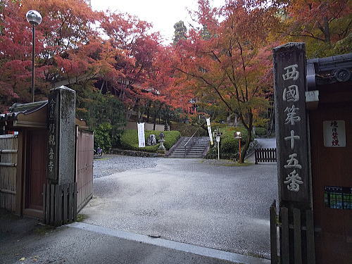 2025年11月23日 京都紅葉 休日の混雑確 今熊野観音寺 / 京都観光旅行ガイド