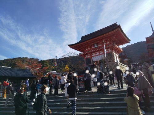 2025年11月23日 京都紅葉 休日の混雑確 清水寺 / 京都観光旅行ガイド