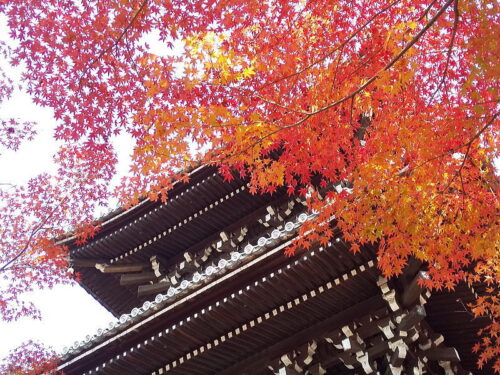 真如堂 紅葉 2025 三重塔周り / 京都観光旅行ガイド