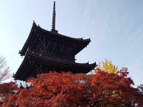 真如堂 紅葉 2025 三重塔周り / 京都観光旅行ガイド