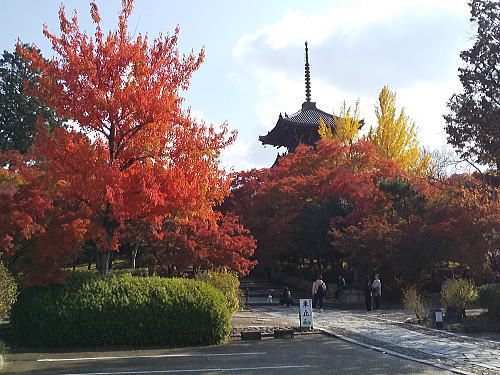 真如堂 紅葉 2025 三重塔周り / 京都観光旅行ガイド