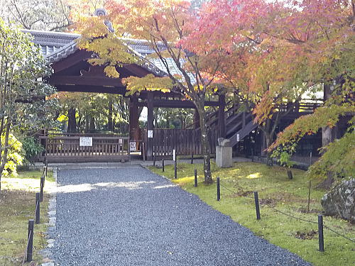 真如堂 紅葉 2025 本堂北側 / 京都観光旅行ガイド
