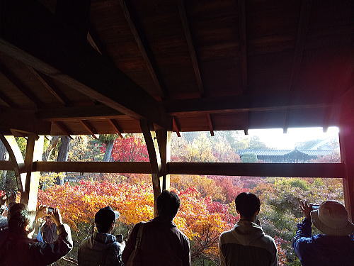 2025年11月23日 京都紅葉 休日の混雑確 東福寺の通天橋 / 京都観光旅行ガイド