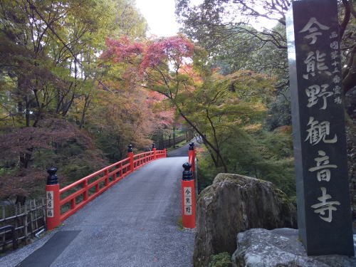 今熊野観音寺 紅葉 2025 鳥居橋 / 京都観光旅行ガイド