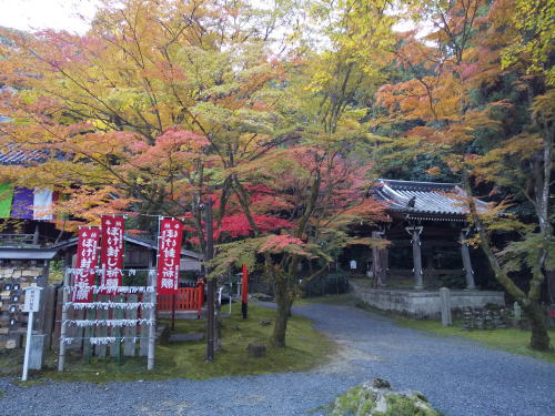 今熊野観音寺 紅葉 2025 鐘楼付近 / 京都観光旅行ガイド