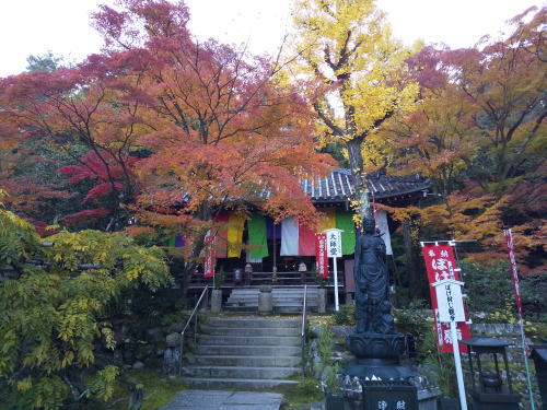 今熊野観音寺 紅葉 2025 太子堂 / 京都観光旅行ガイド