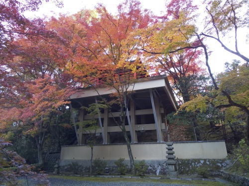 今熊野観音寺 紅葉 2025 舞台 / 京都観光旅行ガイド