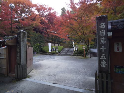 今熊野観音寺 紅葉 2025 / 京都観光旅行ガイド