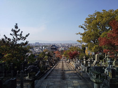 金戒光明寺 紅葉 2025 三重塔からの景色 / 京都観光旅行ガイド