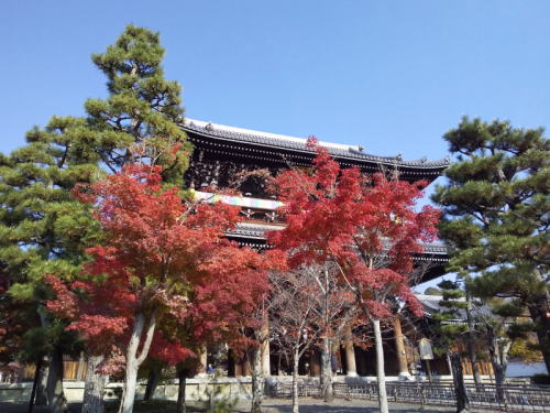 金戒光明寺 紅葉 2025 山門 / 京都観光旅行ガイド